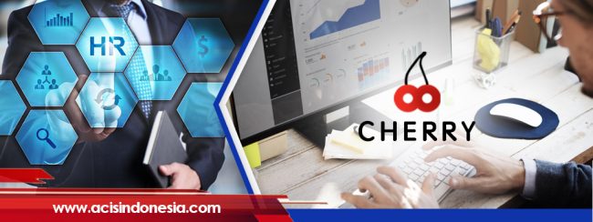 SOftware HRIS Indonesia4