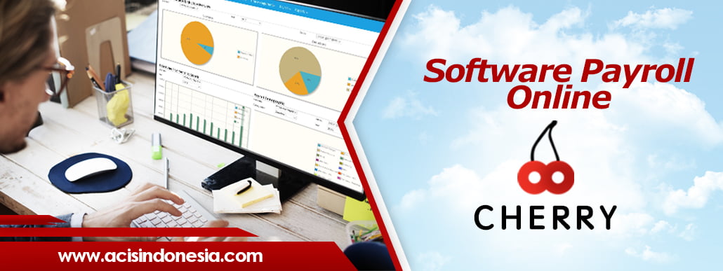 Software Payroll Online2